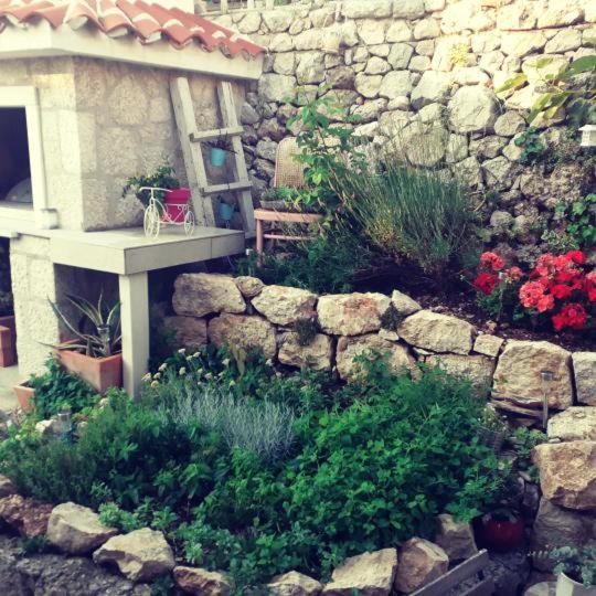 Mala Cele Apartment